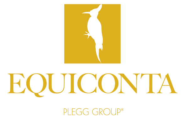 Plegg Group - Equiconta Plegg Group - Equiconta