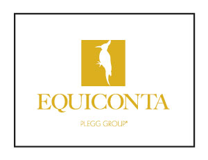 Plegg Group - Equiconta