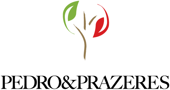 Plegg Group - Pedro & Prazeres