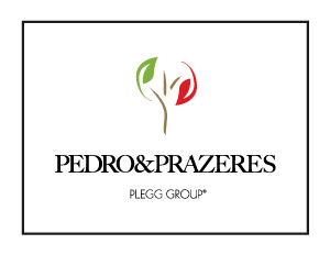 Plegg Group - Pedro & Prazeres